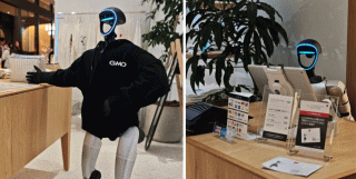 gmo11.gif