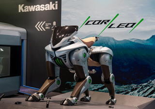 kawa1.jpg