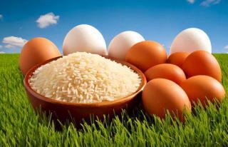 kometotamago1.jpg