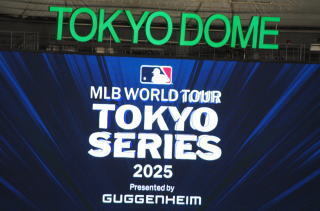 mlb1.jpg