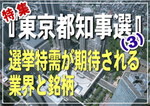 【特集：東京都知事選】選挙特需が期待される業界と銘柄